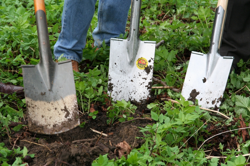 pepiniere-CARROS-min_work-lawn-flower-tool-green-backyard-1103633-pxhere.com